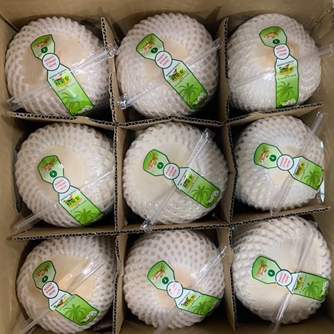 READY-TO-DRINK COCONUT